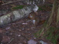 100_1604.jpg